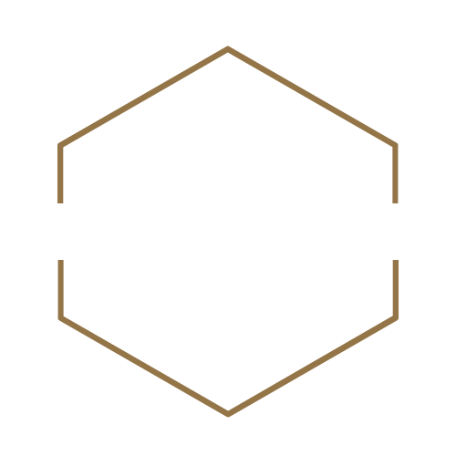 Thomson Custom Bikes